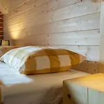 Stary Mlyn Nad Strumieniem Z Mozliwoscia Dostepu Do Sauny, Goracej Beczki, Basenu - Сasa de vacaciones Szklarska Poręba